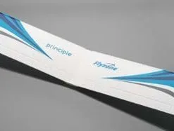 Flyzone Flyzone Aircore Principle Wing